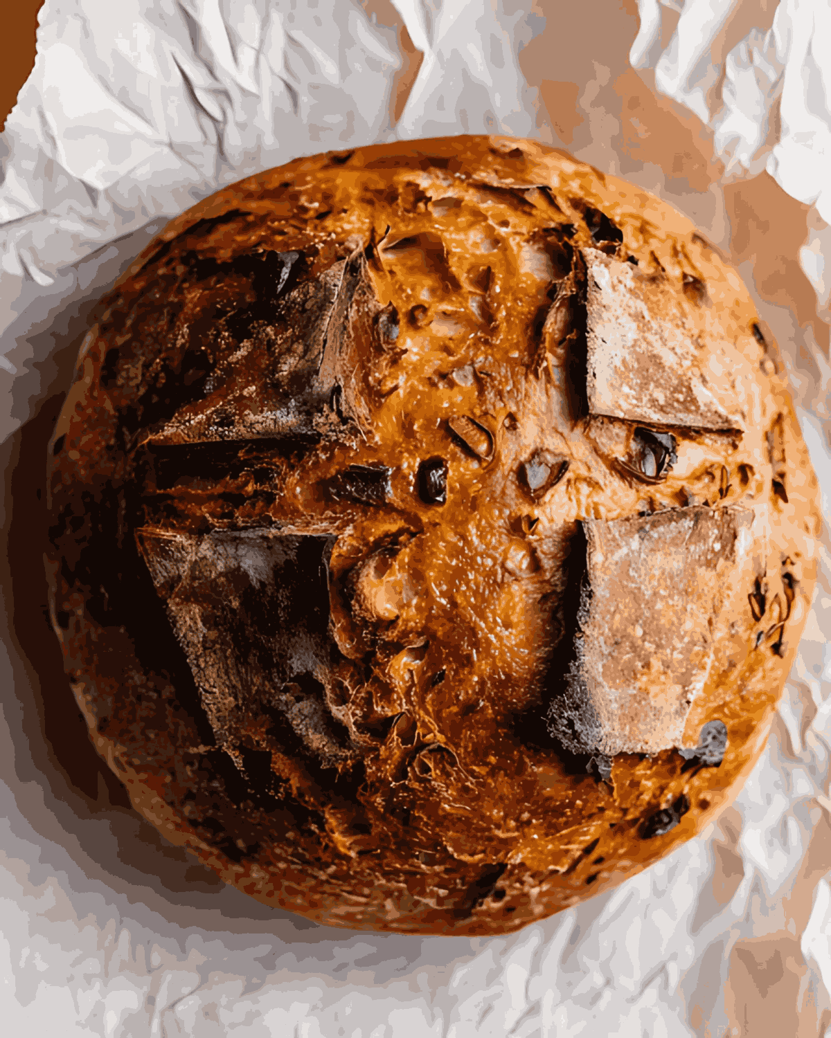 Whole crusty sourdough pumpkin apple bread loaf with golden, caramelized top on parchment paper